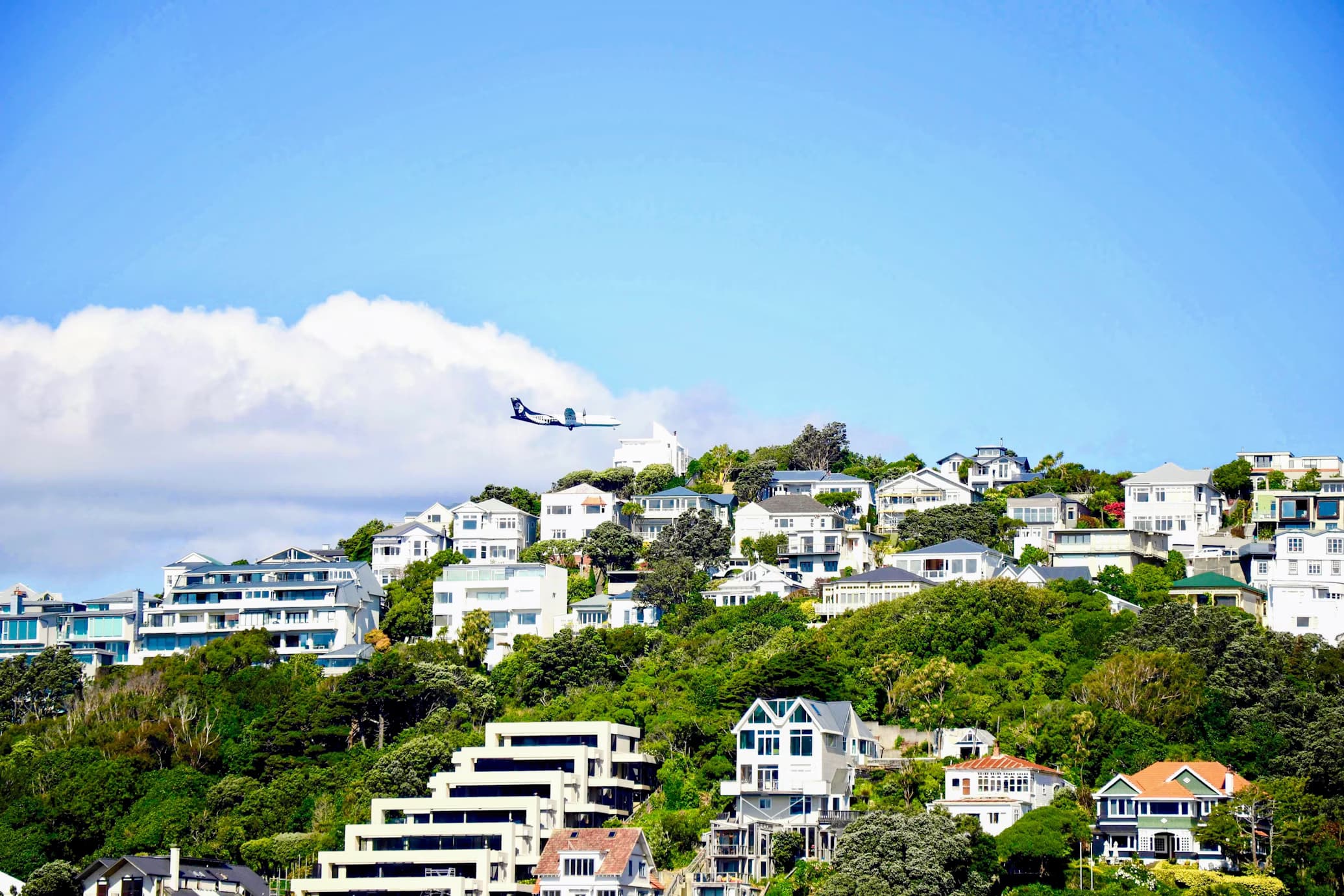 Scenic view of a New Zealand city